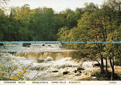 D177740 Yorkshire Dales. Wensleydale. Upper Falls. Aysgarth. Richter. C. 5504