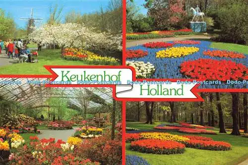 D176572 Keukenhof Holland. Holland in Blumendekoration. Gebr. Spanjersberg. Holm