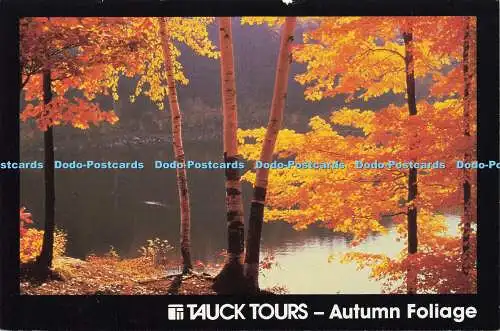 D177769 Tauck Tours. Herbstlaub