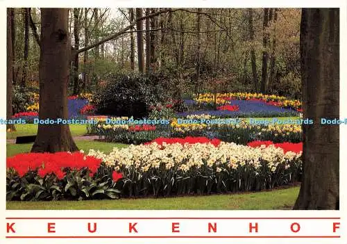 D176615 Keukenhof. Holland. Mastrigt en Verhoeven