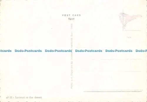 D175326 Kairo. Aussichtspunkt in der Wüste. Lehnert und Landrock. Nr. 92