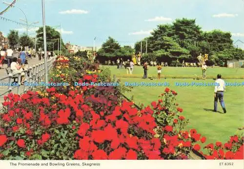 D177841 Skegness. Die Promenade und Bowling Greens. Bamforth