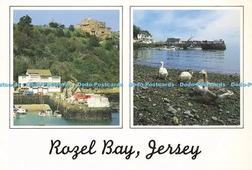 Trikot D176749. Rozel Bay. A. C. Gallie. Multi View