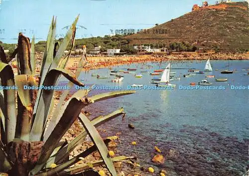 D177929 Costa Brava. La Escala. Postales Internacional Color