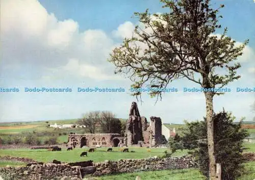 D177941 Wigtownshire. Glenluce Abbey. Valentinstag. Schottische Bildserie. RP