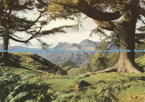 D177950 Cumbria. Die Langdale Hechte von Lingmoor Fell. J. Arthur Dixon. Kenneth