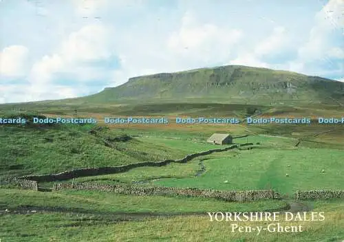 D178003 Yorkshire Dales. Pen y Gent. J. Salmon. Kamerafarbe. 2003