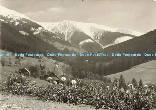 D176821 Riesengebirge. Jaro ve Sv. Petru. 1956