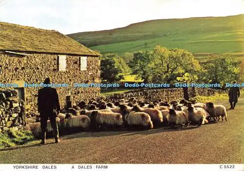 D176987 Yorkshire Dales. Eine Dales Farm. Richter. C. 5522