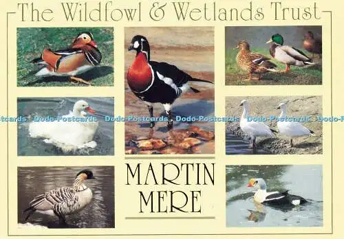 D178191 The Wildfowl and Wetlands Trust. Martin Mere. A. Whitaker. Multi View