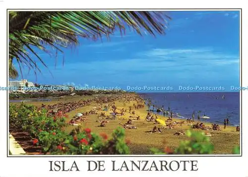 D177028 Isla de Lanzarote. A. Murillo