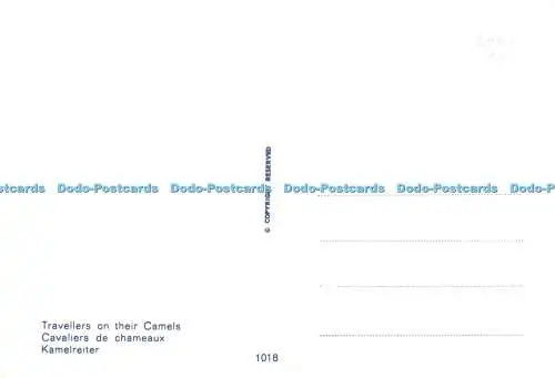 D177068 Reisende auf ihren Kamelen