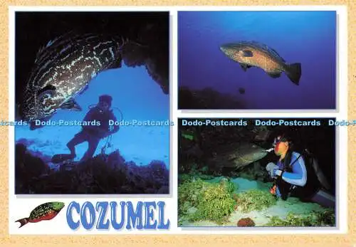 D177077 Cozumel. Kukulcan. Luis Gomez C. Multi View