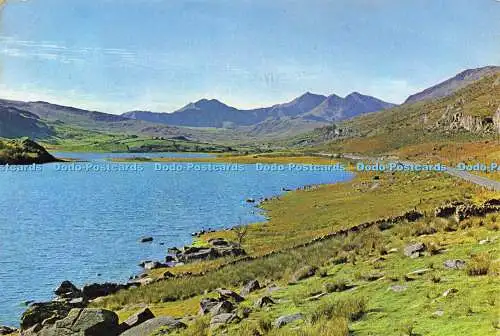 D178281 Caernarvonshire. Capel Curig. Ein Blick entlang Llyn Mymbyr mit Blick auf t