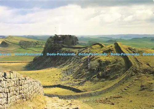 D177156 Hadrianswall. English Heritage