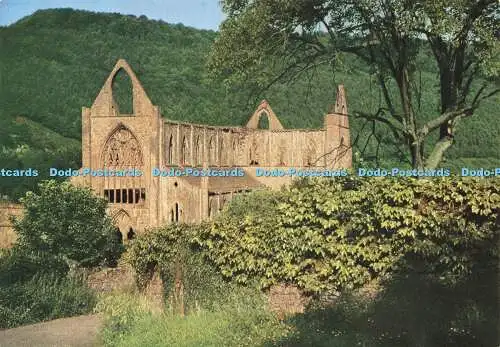 D178364 Monmouthshire. Tintern Abbey. Blick von Südwesten. Pix Fotos