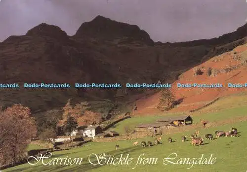 D177224 Harrison Stickle aus Langdale. John Hinde. John Fell