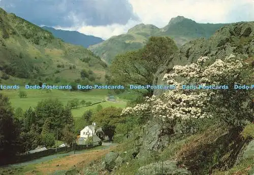 D177244 The Langdale Valley. Sanderson und Dixon. 1992