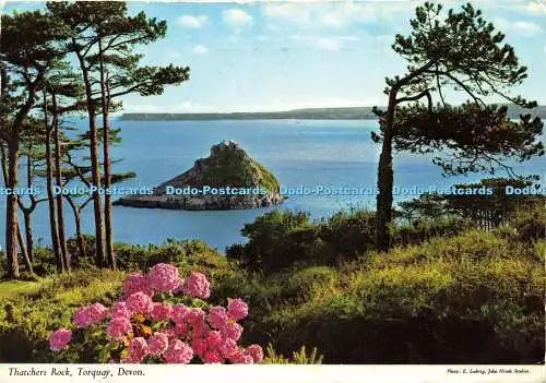 D178446 Devon. Torquay. Thatchers Rock. John Hinde. E. Ludwig. 1973