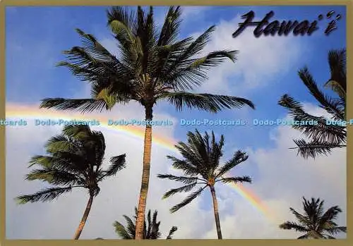 D178453 Hawaii. Regenbogenpalmen. Island Heritage. Ron Dahlquist