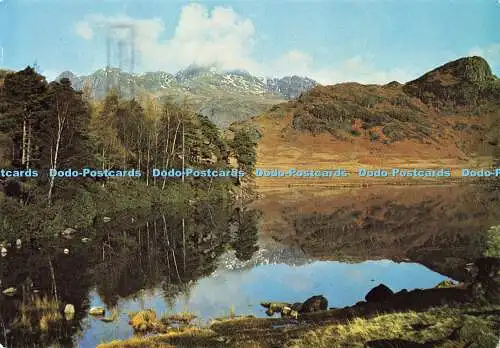 D178629 Blea Tarn. Blick nach Norden zu den Langdale Pikes. Larkfield Printing