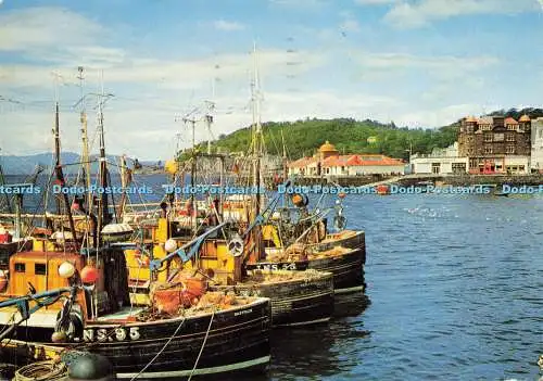 D178701 Oban. Argyllshire. Teil der Fischereiflotte vor Anker in Oban Bay. J. A