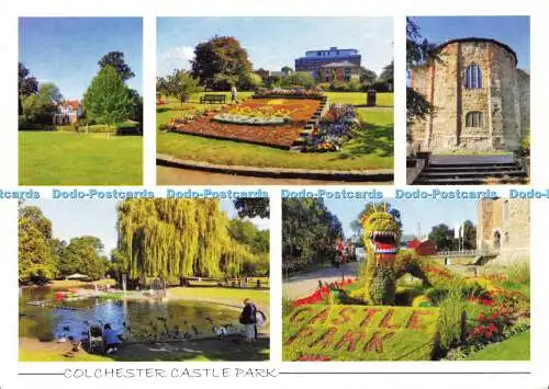 D178724 Colchester Castle Park. Charles Stenner Karten. Multi View