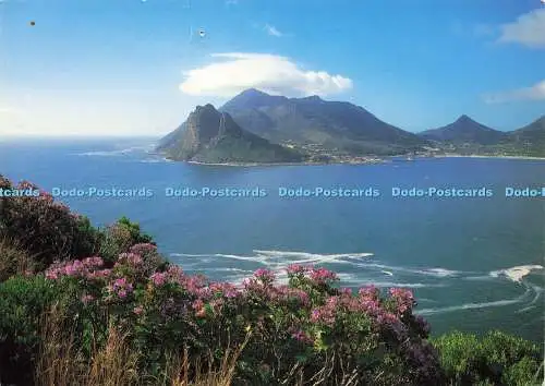 D179082 Südafrika. Western Cape. Hout Bay. Kunstverlag. John Hone