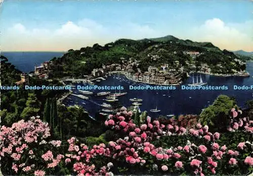 D178896 Portofino. Gesamtansicht. Grafico Cesare Capello