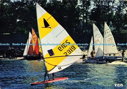 D179150 Voiles en Bretagne. Windsurfing et 445 au Depart. Belles Editions de Bre