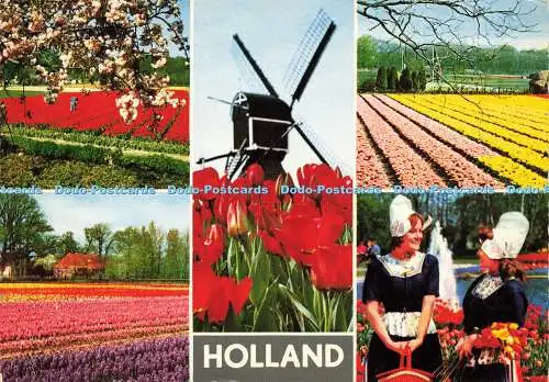 D179198 Holland. Holland in Blumendekoration. Gebr. Spanjersberg. Multi View