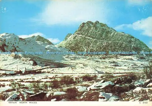 D179309 Tryfan. Nordwales. Richter. C 3102