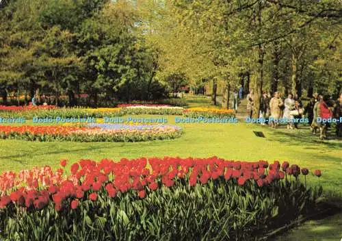 D179401 Keukenhof. Holland. Super Karten. 1984