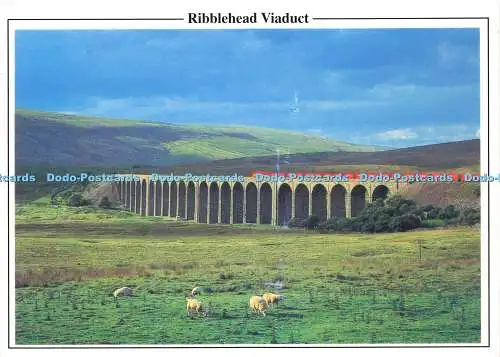 D179527 Ribblehead Viaduct. auf der Siedlung. Carlisle Railway. Peter Pedley. Yorks