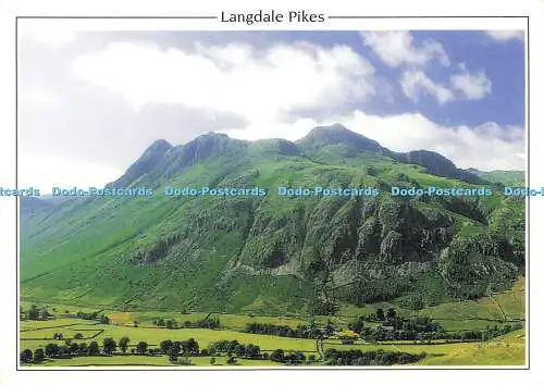 D179555 Langdale Pikes. Harrison Stickle. Höchster Punkt in der Mitte. Peter Pedley.