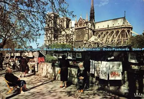 D179568 Paris. Notre Dame. Les Bouquinistes. Chantal. Iris. Mexichrom