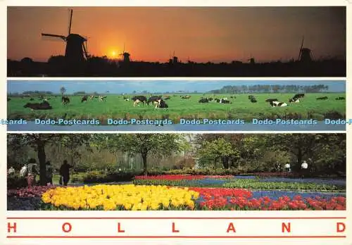 D179633 Holland. Hamar. Multi View