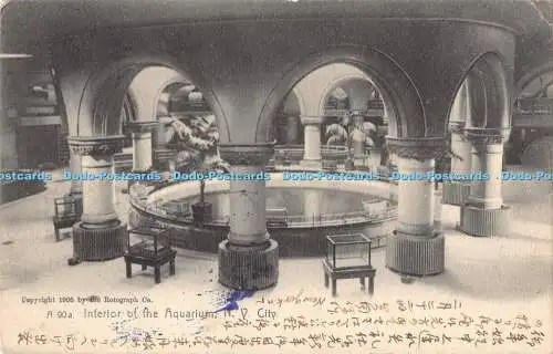 R192223 1905 Rotograph Interieur of the Aquarium N Y City The Rotograph 1907