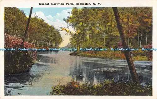 R193994 Durant Eastman Park Rochester N Y The Rochester News