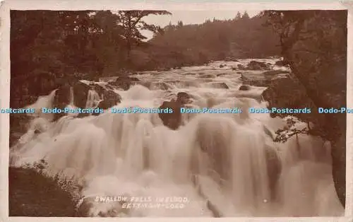 R192520 Swallow Falls in Flood Bettys y Coed