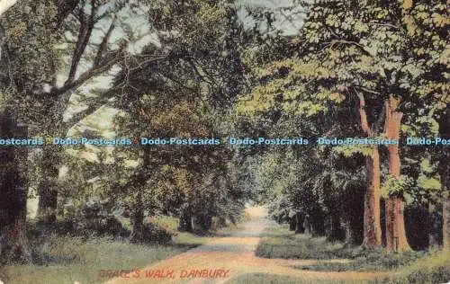 R192656 Graces Walk Danbury J P Green 1908