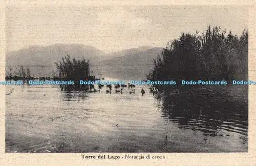 R194185 Torre del Lago Nostalgia di caccia Menichetti N 1950