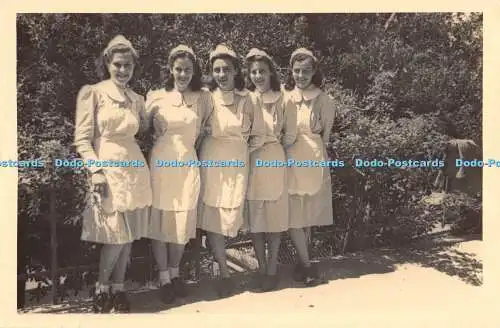 R194203 Frauen Gruppenfoto alte Fotografie Postkarte Terrania