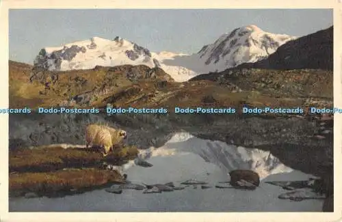 R194244 A 6709 Zermatt Riffelsee Monte Rosa Lyskamm E Gyger