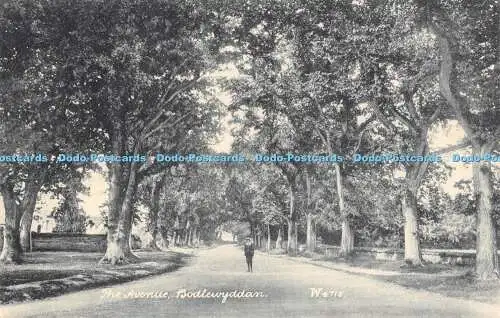 R194361 The Avenue Bodlewyddan W4715