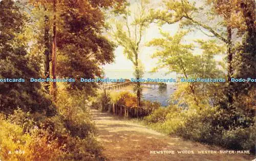 R192894 Kewstoke Woods Weston Super Mare Valentines Art Farbe Brian Gerald 1954