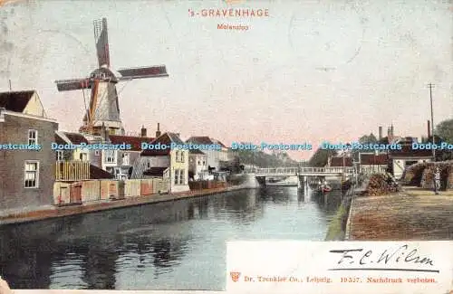 R192972 Gravenhage Molenslop Dr Trenkler 1906