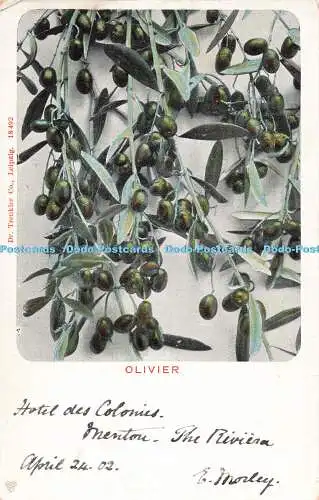 R195719 Olivier Dr Trenkler 18492