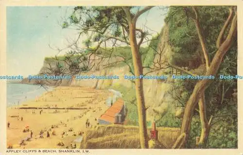 R194766 Appley Cliffs and Beach Shanklin I W J Nigh Colourgraph Series