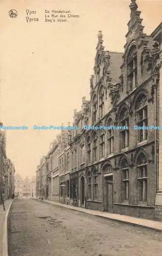 R195787 Nels Ypres Dogs Street Hallaert